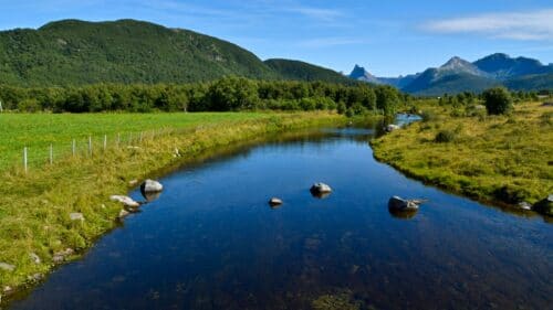 Fjærelva på Kjerringøy