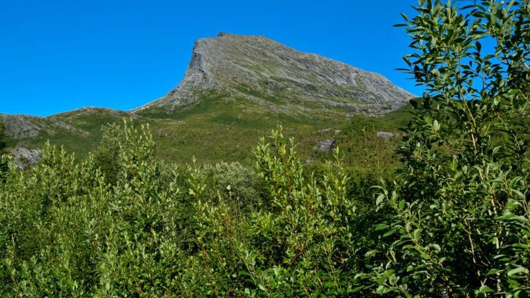 Fjelltur til Eidetinden