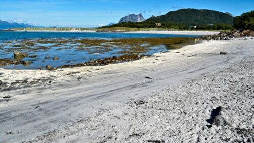 Fjære naturreservat på Kjerringøy