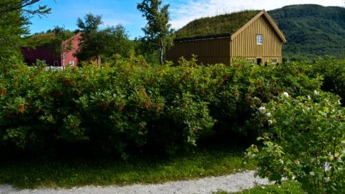 Kjerringøy Handelssted