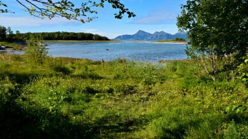 Nede ved havet på Låter