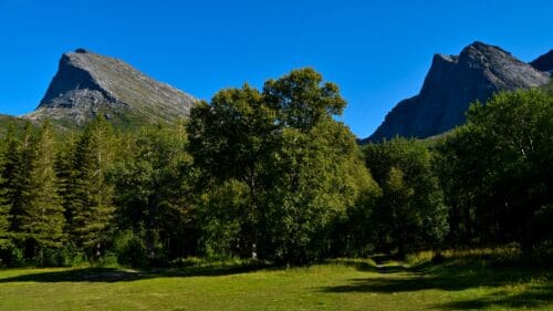 Låter på Kjerringøy