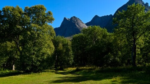 Låter på Kjerringøy