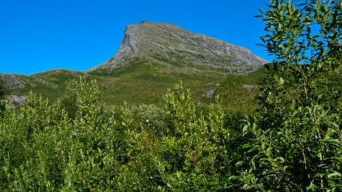 Låter på Kjerringøy