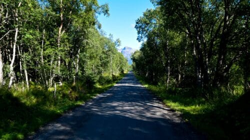 Nevelsfjordveien på Kjerringøy