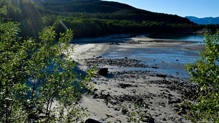 Ospvika strand på Kjerringøy