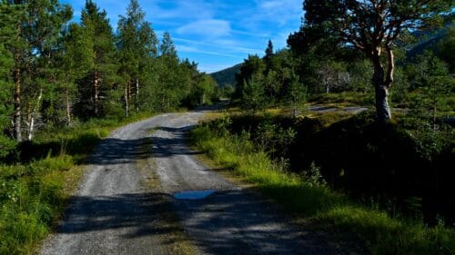 Langs Sørvassveien ved Sørvatnet