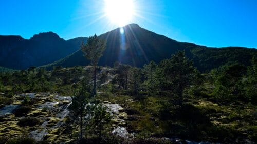 Langs Sørvassveien ved Sørvatnet